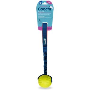 Coachi Tuggi Ball Dog Dummy, Navy