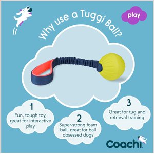 Coachi Tuggi Ball Dog Dummy, Navy