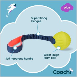 Coachi Tuggi Ball Dog Dummy, Navy
