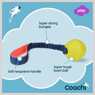 Show full view: Coachi Tuggi Ball Dog Dummy, Navy slide 5 of 9
