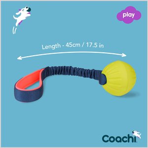 Coachi Tuggi Ball Dog Dummy, Navy