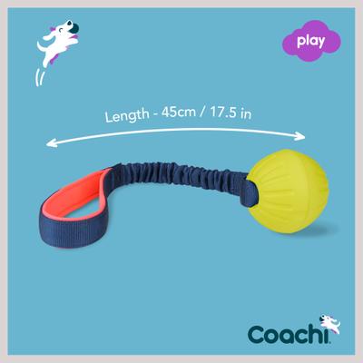 Show full view: Coachi Tuggi Ball Dog Dummy, Navy slide 6 of 9