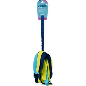 Coachi Tuggi Spider Dog Dummy, Navy