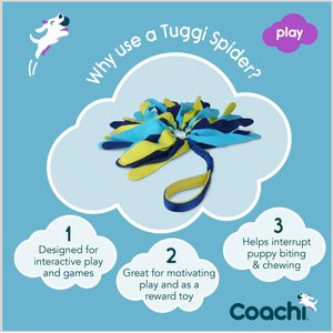 Coachi Tuggi Spider Dog Dummy, Navy
