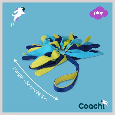 Show full view: Coachi Tuggi Spider Dog Dummy, Navy slide 6 of 10