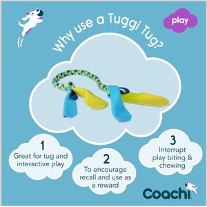 Coachi Tuggi Tug Dog Dummy, Navy