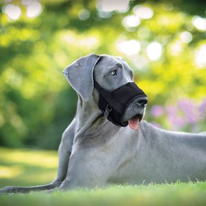 Coastal Pet Products Best Fit Adjustable Comfort Dog Muzzle, Black, Large