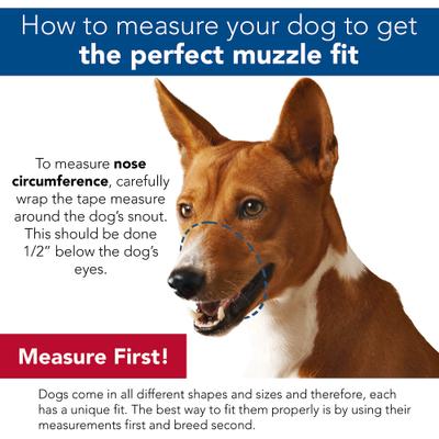 Show full view: Coastal Pet Products Best Fit Adjustable Comfort Dog Muzzle, Black, Large slide 4 of 5