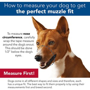 Coastal Pet Products Best Fit Adjustable Mesh Dog Muzzle, Black, Size 7