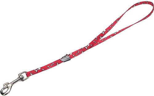 Show full view: Coastal Pet Products Pet Attire Styles Adjustable Grooming Loop, Red Bones, 18-in, 3/8 slide 1 of 4