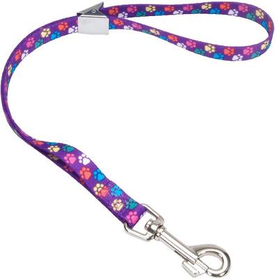 Show full view: Coastal Pet Products Pet Attire Styles Adjustable Grooming Loop, Special Paws, 24-in slide 1 of 2