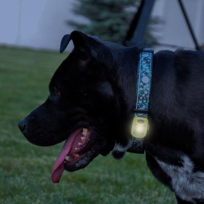 Show full view: Coastal Pet Products USB Blinker Light Collar Accessory, Yellow slide 4 of 5