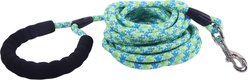 Coastal Rope Training Dog Leash, 20-ft long, 1/2-in wide, Green/Blue slide 1 of 6