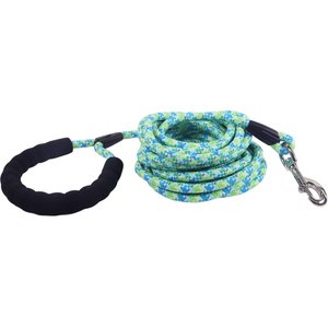 Coastal Rope Training Dog Leash, 20-ft long, 1/2-in wide, Green/Blue