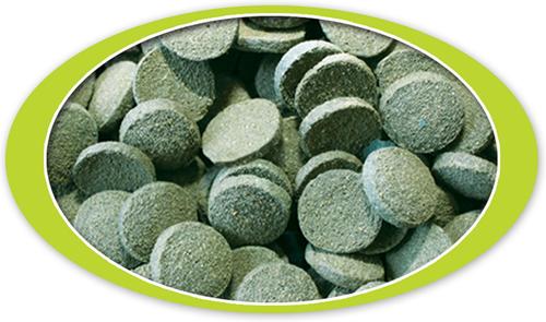 Show full view: Cobalt Aquatics Algae Grazers Fish Food, 16-oz bottle slide 2 of 8