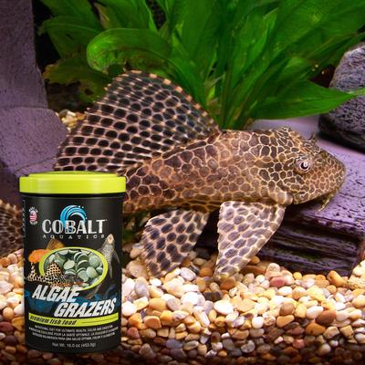 Show full view: Cobalt Aquatics Algae Grazers Fish Food, 3.5-oz jar slide 5 of 7