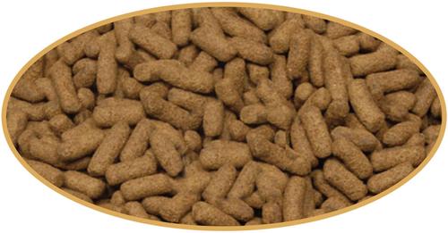 Show full view: Cobalt Aquatics Bottom Feeder Pellet Fish Food, 7.5-oz pouch slide 3 of 4