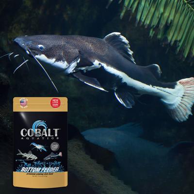 Show full view: Cobalt Aquatics Bottom Feeder Pellet Fish Food, 7.5-oz pouch slide 4 of 4