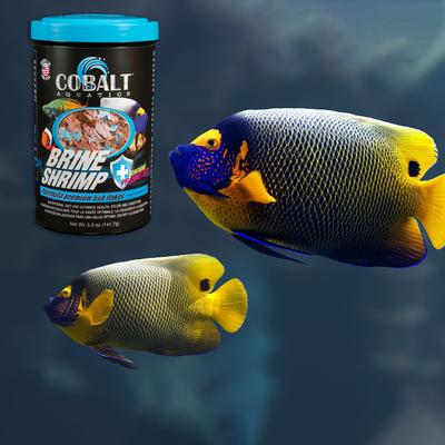 Show full view: Cobalt Aquatics Brine Shrimp Flakes Fish Food, 16-oz tub slide 4 of 9