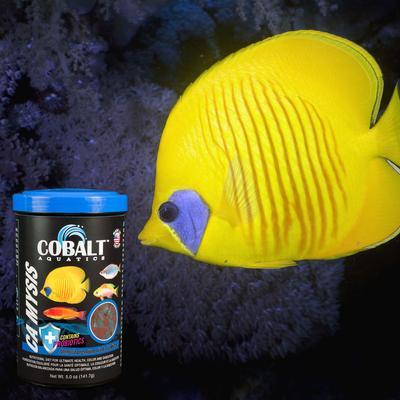Show full view: Cobalt Aquatics CA Mysis Flakes Fish Food, 16-oz tub slide 4 of 8