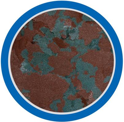 Show full view: Cobalt Aquatics CA Mysis Flakes Fish Food, 5-oz bottle slide 2 of 9