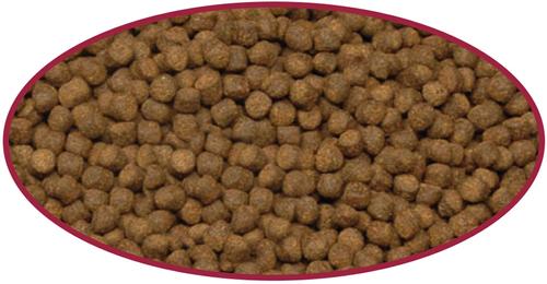 Show full view: Cobalt Aquatics Cichlid Jumbo Pellet Fish Food, 8.9-oz pouch slide 3 of 4