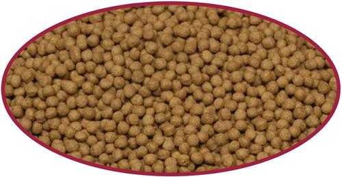 Show full view: Cobalt Aquatics Cichlid Medium Pellet Fish Food, 5.7-oz pouch slide 3 of 5