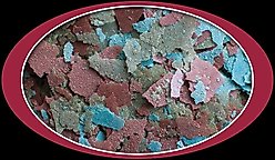 Cobalt Aquatics Cichlid Premium Flakes Fish Food, 1.2-oz jar slide 2 of 7