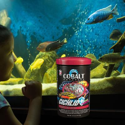 Show full view: Cobalt Aquatics Cichlid Premium Flakes Fish Food, 1.2-oz jar slide 5 of 9