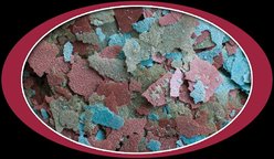 Cobalt Aquatics Cichlid Premium Flakes Fish Food, .5-oz jar slide 2 of 7