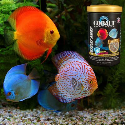 Show full view: Cobalt Aquatics Discus Hans Flake Fish Food, 16-oz tub slide 5 of 9
