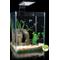 Show in main carousel: Cobalt Aquatics Microvue Aquarium Kit, 2.6-gal slide 6 of 7