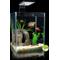 Show in main carousel: Cobalt Aquatics Microvue Aquarium Kit, 5.3-gal slide 6 of 7