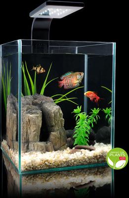 Show full view: Cobalt Aquatics Microvue Aquarium Kit, 5.3-gal slide 6 of 7