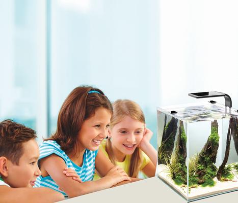 Show full view: Cobalt Aquatics Microvue Aquarium Kit, 8-gal slide 4 of 7