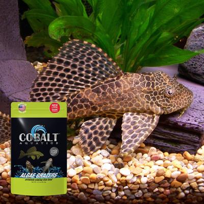 Show full view: Cobalt Aquatics Select Algae Grazers Fish Food, 6.1-oz pouch slide 4 of 6