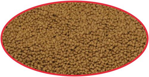 Show full view: Cobalt Aquatics Select Betta Pellet food, 1.2-oz bag, 2 count slide 4 of 6