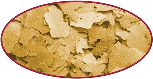 Show full view: Cobalt Aquatics Select Cichlid Flakes Fish Food, 2-oz pouch slide 3 of 6