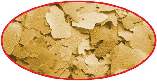 Show full view: Cobalt Aquatics Select Color Flakes Fish Food, 2-oz pouch slide 3 of 7