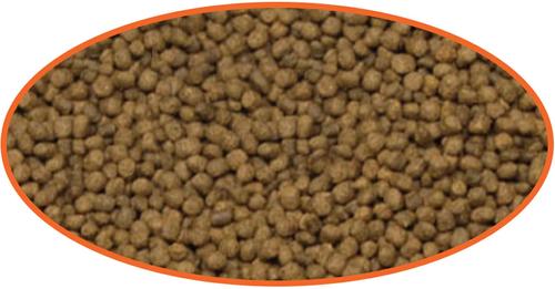 Show full view: Cobalt Aquatics Select Goldfish Pellet Fish Food, 6.3-oz pouch slide 3 of 6