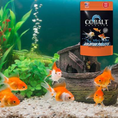 Show full view: Cobalt Aquatics Select Goldfish Pellet Fish Food, 6.3-oz pouch slide 4 of 6