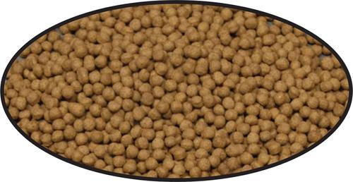 Show full view: Cobalt Aquatics Select Shrimp Pellets Fish Food, 2.7-oz pouch slide 3 of 5