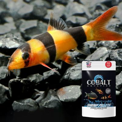 Show full view: Cobalt Aquatics Select Shrimp Pellets Fish Food, 2.7-oz pouch slide 4 of 5