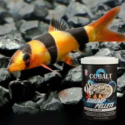 Show full view: Cobalt Aquatics Shrimp Pellets Fish Food, 20-oz bottle slide 5 of 8