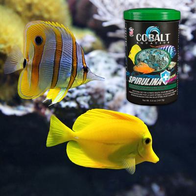 Show full view: Cobalt Aquatics Spirulina Flakes Fish Food, 1.2-oz jar slide 5 of 9