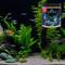 Show in main carousel: Cobalt Aquatics Total Freshwater Aquarium Resin, 60-oz tub slide 5 of 5