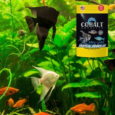 Show full view: Cobalt Aquatics Tropical Granular Fish Food, 2.7-oz pouch slide 4 of 5