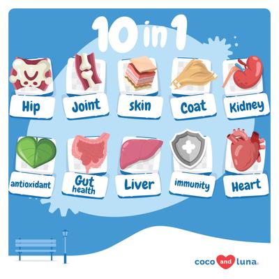 Show full view: Coco and Luna 10-in-1 Soft Chew Multivitamin for Dogs, 90 count slide 3 of 8