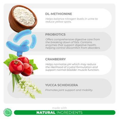 Show full view: Coco and Luna Ever Green Grass Burn Spot Soft Chew Urinary Support Supplement for Dogs, 90 count slide 4 of 9