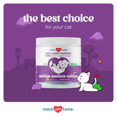 Show full view: Coco and Luna Glucosamine with Green Lipped Mussel Hip & Joint Powder Supplement for Cats, 120-gr jar slide 5 of 8